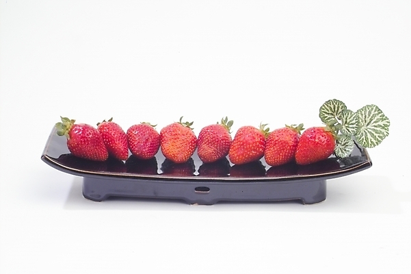 포토 JPG 식물 접시 웰빙 열매 과일 딸기 사람없음 농작물 빨간딸기 왕딸기 국내포토 식기 농업 파일형식