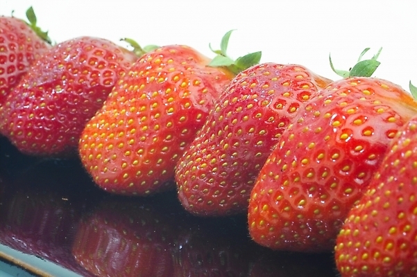 포토 JPG 식물 접시 웰빙 열매 과일 딸기 사람없음 농작물 빨간딸기 왕딸기 국내포토 식기 농업 파일형식