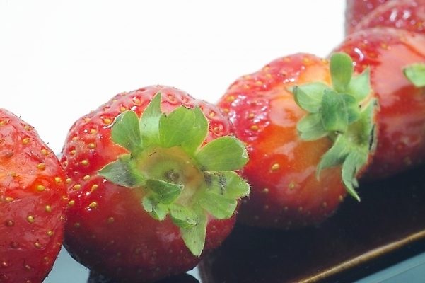 포토 JPG 식물 접시 웰빙 열매 과일 딸기 사람없음 농작물 빨간딸기 왕딸기 국내포토 식기 농업 파일형식