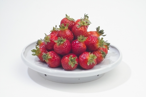 포토 JPG 식물 그릇 접시 열매 과일 딸기 사람없음 농작물 빨간딸기 왕딸기 국내포토 식기 농업 파일형식