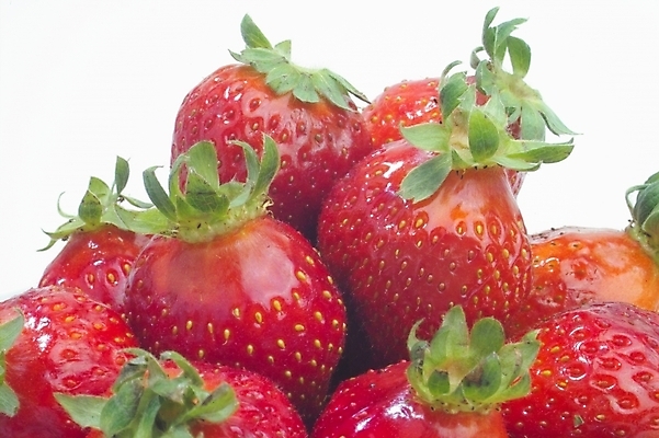 포토 JPG 식물 접시 열매 과일 딸기 사람없음 농작물 빨간딸기 왕딸기 국내포토 식기 농업 파일형식