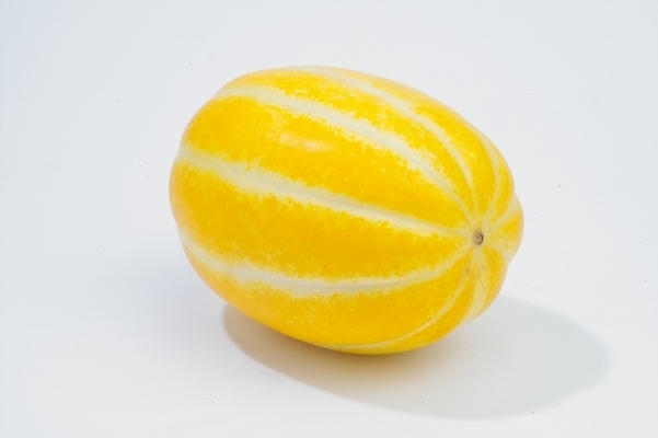 포토 JPG 식물 열매 과일 사람없음 여름 농작물 노란색 참외 입하 제철 제철과일 과채 국내포토 계절 컬러 농업 채소 절기 파일형식