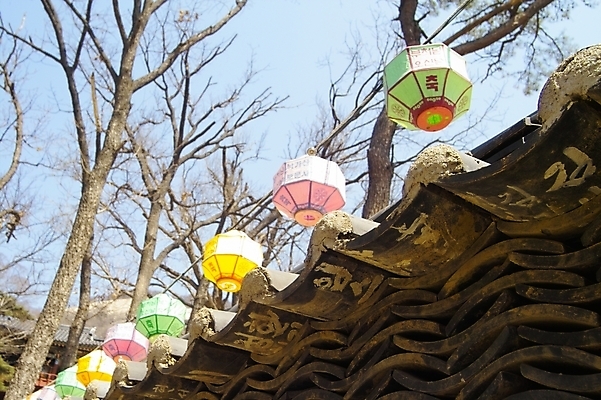 포토 JPG 주간 나무 식물 전통 종교 불교 종교용품 기와 사람없음 야외 담장 부처님오신날 기도 불교용품 연등 전통축제 국내포토 자연요소 기념일 축제 등불 파일형식