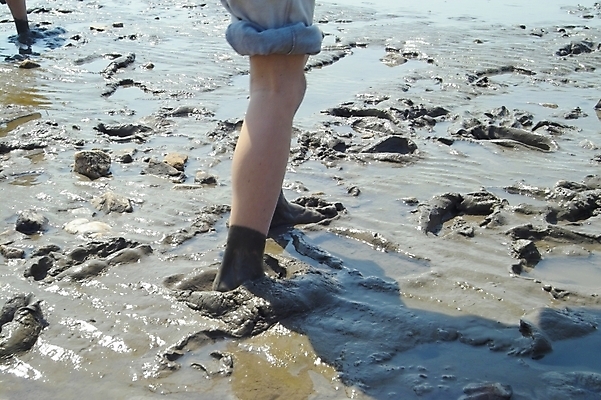 포토 JPG 주간 바다 자연 사람 해변 야외 신체부위 하이앵글 흙 다리 진흙 갯벌 석모도 국내포토 자연요소 뷰포인트 생태계 파일형식