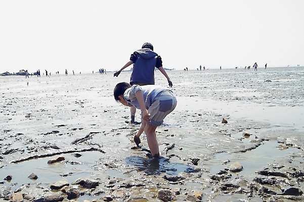 포토 JPG 주간 어린이 바다 여행 휴가 사람 풍경 해변 야외 두명 흙 진흙 갯벌 보문사 석모도 조개잡이 어린이만 국내포토 자연요소 어업 사찰 강화도 파일형식