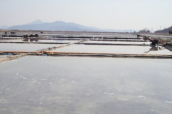 포토 JPG 주간 바다 자연 풍경 해변 사람없음 야외 소금 석모도 염전 국내포토 자연요소 시설 생태계 파일형식