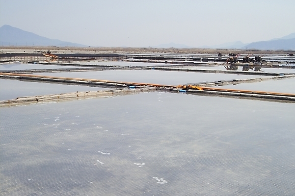 포토 JPG 주간 바다 자연 풍경 해변 사람없음 야외 소금 석모도 염전 국내포토 자연요소 시설 생태계 파일형식