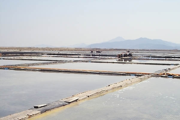 포토 JPG 주간 바다 자연 풍경 해변 사람없음 야외 소금 석모도 염전 국내포토 자연요소 시설 생태계 파일형식