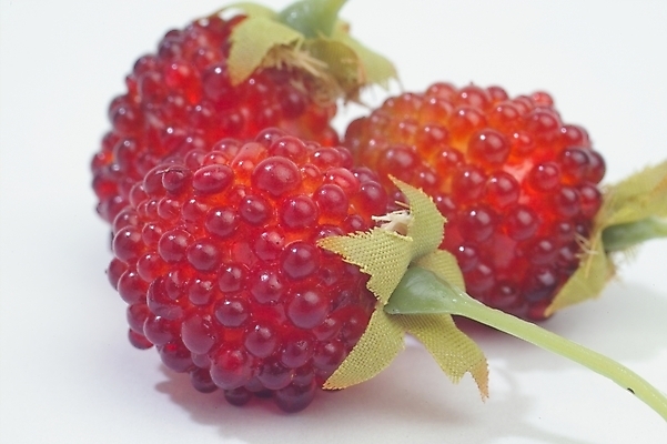 포토 JPG 식물 웰빙 열매 과일 딸기 사람없음 농작물 빨간딸기 왕딸기 국내포토 농업 파일형식