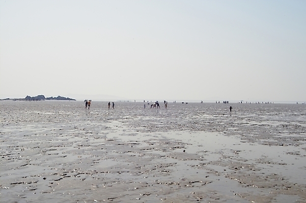 포토 JPG 주간 바다 섬 자연 하늘 사람 풍경 야외 갯벌 석모도 국내포토 자연요소 생태계 파일형식