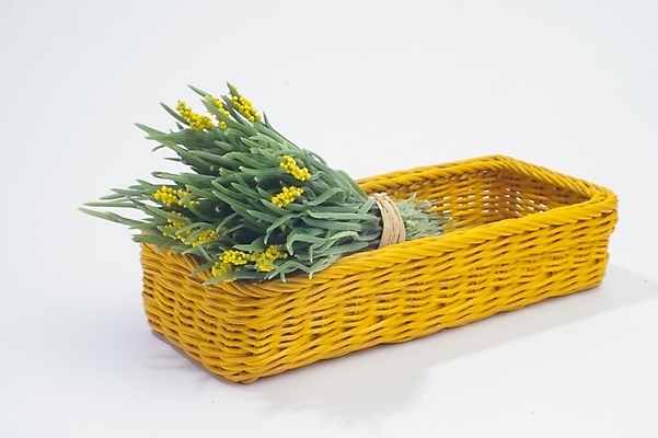 포토 JPG 꽃 채소 식재료 사람없음 농작물 바구니 오브젝트 조화 부추꽃 국내포토 식물 농업 파일형식