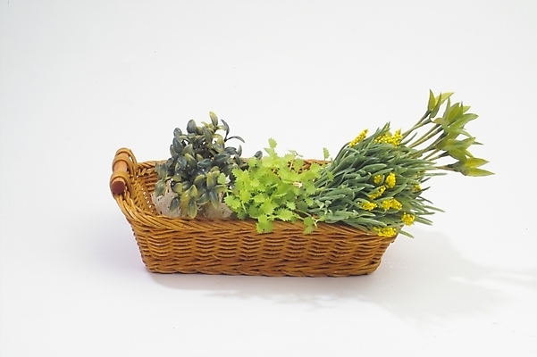 포토 JPG 채소 식재료 사람없음 농작물 바구니 콩나물 조화 미나리 부추꽃 국내포토 꽃 농업 나물 파일형식