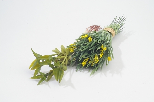 포토 JPG 스튜디오촬영 식물 꽃 꽃다발 채소 사람없음 인테리어 유기농 콩나물 조화 미나리 부추꽃 국내포토 웰빙 디자인 실내 나물 파일형식