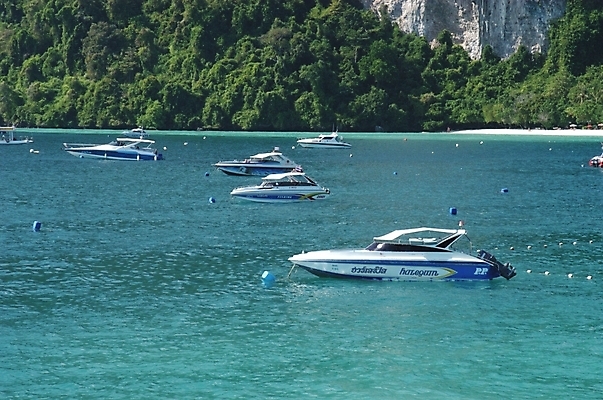 포토 JPG 주간 나무 식물 스포츠용품 바다 레저 야외 여름 레포츠 수상스포츠 모터보트 제트스키 국내포토 자연요소 계절 스포츠 배_교통 오브젝트 파일형식