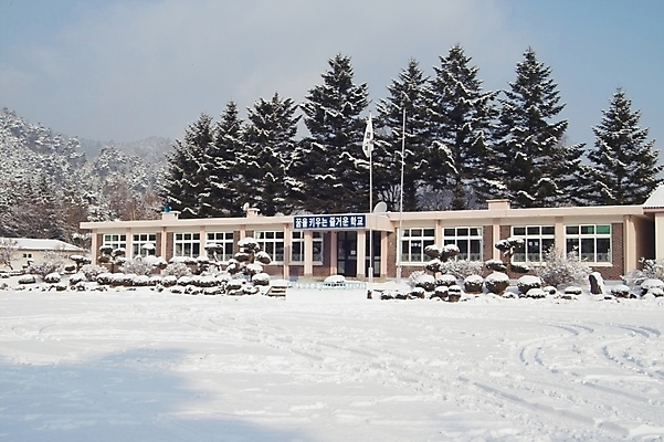 포토 JPG 주간 나무 식물 시설물 사계절 계절 현대건축 건축 설경 겨울 학교 자연현상 자연 초등학교 사람없음 야외 건물 눈 초등 국내포토 자연요소 건축물 교육 날씨 풍경 생태계 파일형식