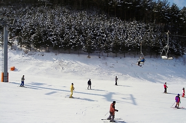 포토 JPG 주간 웰빙 여자 남자 스포츠 겨울 레저 스키 겨울스포츠 스키장 사람 여러명 야외 레포츠 눈 리프트 용평 용평스키장 국내포토 자연요소 계절 다수 날씨 평창 파일형식