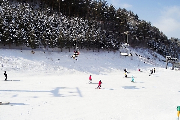 포토 JPG 주간 웰빙 여자 남자 스포츠 겨울 레저 스키 겨울스포츠 스키장 사람 여러명 야외 레포츠 눈 리프트 용평 용평스키장 국내포토 자연요소 계절 다수 날씨 평창 파일형식