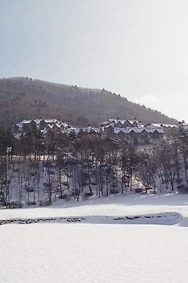 포토 JPG 주간 나무 식물 건축물 사계절 계절 건축 백그라운드 설경 겨울 자연현상 자연 산 주택 풍경 사람없음 야외 건물 눈 별장 콘도 국내포토 자연요소 숙소 날씨 생태계 파일형식