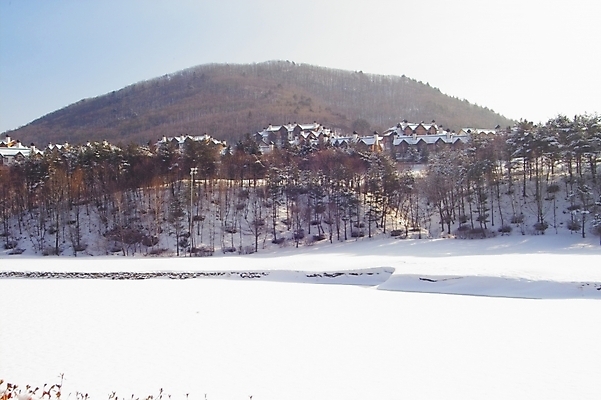 포토 JPG 주간 식물 건축물 사계절 계절 건축 백그라운드 설경 겨울 자연현상 자연 산 주택 풍경 사람없음 야외 건물 눈 별장 콘도 국내포토 자연요소 숙소 날씨 생태계 파일형식