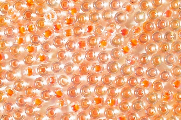 포토 JPG 옷 백그라운드 장신구 미술 사람없음 장식 비즈 비즈공예 국내포토 문화예술 공예 파일형식