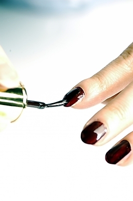 포토 JPG 스튜디오촬영 손 신체 페인팅 실내 사람 근접촬영 신체부위 하이앵글 뷰티 갈색 붓 네일아트 손톱 매니큐어 바르기 매니큐어솔 국내포토 뷰포인트 컬러 모션 내부 화장품 솔 파일형식