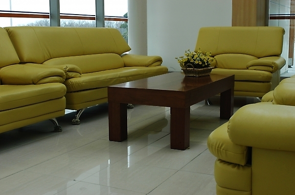 포토 JPG 식물 꽃 가구 생활용품 거실 창문 탁자 바닥 실내 근접촬영 사람없음 내부 인테리어 소파 노란색 응접실 오브젝트 가죽소파 국내포토 디자인 뷰포인트 컬러 의자 파일형식