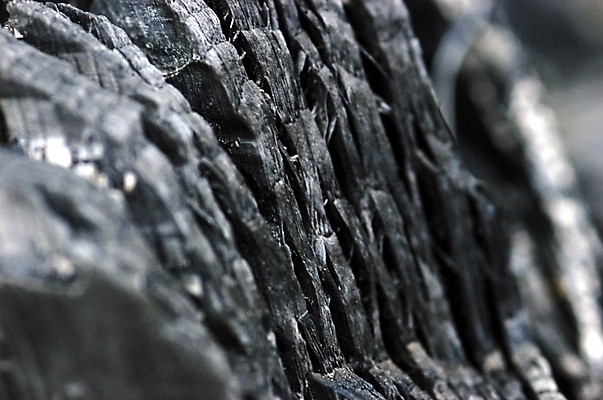 포토 JPG 백그라운드 패턴 근접촬영 사람없음 하이앵글 검은색 어둠 숯 국내포토 뷰포인트 컬러 무늬 파일형식