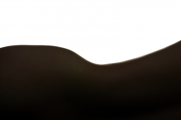 포토 JPG 스튜디오촬영 여자 곡선 신체 실내 한명 사람 근접촬영 뒷모습 등 누드 엉덩이 허리 등허리 여자만 여자한명만 국내포토 1 선 뷰포인트 내부 신체부위 파일형식