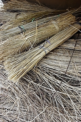 포토 JPG 주간 식물 백그라운드 근접촬영 사람없음 야외 하이앵글 풀 볏짚 마른짚단 볏단 국내포토 자연요소 뷰포인트 짚 파일형식