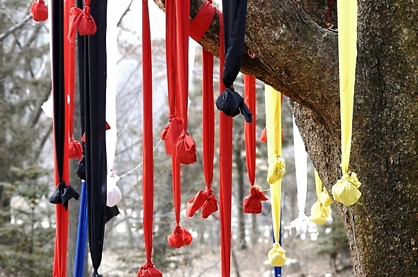 포토 JPG 주간 나무 식물 한국전통 종교 생활용품 백그라운드 부분 근접촬영 사람없음 야외 컬러풀 천 무속 서낭당 성황당 신당 국내포토 자연요소 전통 뷰포인트 컬러 한국 직물 오브젝트 파일형식