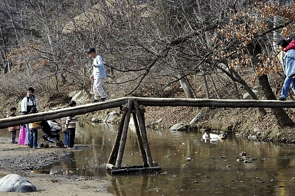 포토 JPG 주간 나무 시설물 공공시설 현대건축 건축 어린이 교통시설 사람 풍경 성인 야외 다리 개울 나무다리 가교 국내포토 자연요소 식물 건축물 교통 강 시설 파일형식