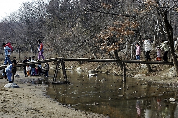 포토 JPG 주간 나무 시설물 공공시설 현대건축 건축 어린이 다수 교통시설 사람 풍경 여러명 성인 야외 다리 개울 나무다리 가교 국내포토 자연요소 식물 건축물 교통 강 시설 파일형식