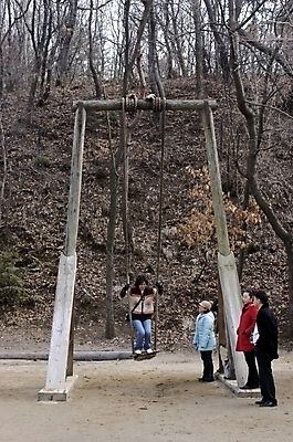 포토 JPG 주간 한국문화 한국전통 전통 여자 명절 남자 사람 여러명 야외 전통놀이 그네 그네뛰기 단오 전통축제 국내포토 자연요소 동양문화 기념일 다수 놀이 한국 축제 파일형식