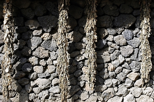 포토 JPG 주간 시설물 현대건축 건축 벽 돌담 근접촬영 사람없음 야외 담장 건축부분 돌벽 무청 시래기 국내포토 자연요소 건축물 뷰포인트 돌_바위 파일형식