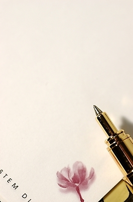 포토 JPG 스튜디오촬영 꽃무늬 비즈니스 문구용품 실내 근접촬영 사람없음 책 하이앵글 필기구 펜 볼펜 만년필 사무용품 메모지 오브젝트 한자루 펜촉 국내포토 1 꽃 뷰포인트 무늬 내부 파일형식