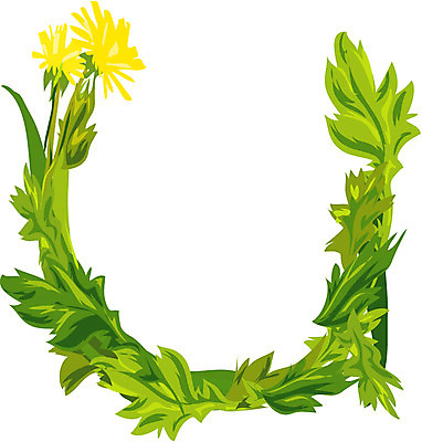 EPS 클립아트 식물 문자 기호 알파벳 영어 꽃 잎 일러스트 글꼴 교과목 나뭇잎 영어교육 사람없음 픽토그램 U 민들레 국내일러스트 교육 파일형식 벡터