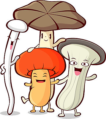 EPS 식물 캐릭터 채소 일러스트 사람없음 초록색 버섯 팽이버섯 느타리버섯 송이버섯 채소캐릭터 목이버섯 버섯캐릭터 일러캐릭터 컬러 파일형식 벡터