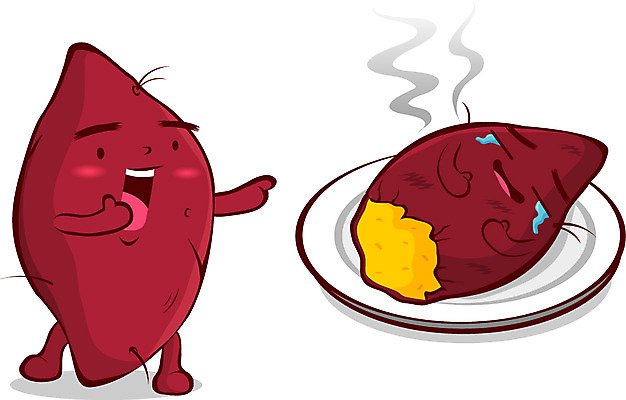 EPS 식물 캐릭터 접시 음식 채소 일러스트 홍보캐릭터 디저트 사람없음 초록색 요식업 겨울음식 고구마 겨울간식 음식캐릭터 군고구마 채소캐릭터 찐고구마 제철음식 일러캐릭터 식기 산업 컬러 겨울 뿌리채소 구이 찜 제철 파일형식 벡터