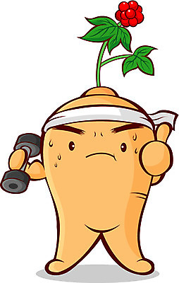 EPS 식물 캐릭터 웰빙 일러스트 건강 사람없음 약 헬스 힘 아령 한의학 한약재 인삼 한약 채소캐릭터 인삼캐릭터 일러캐릭터 채소 의학 운동 약재 삼 파일형식 벡터