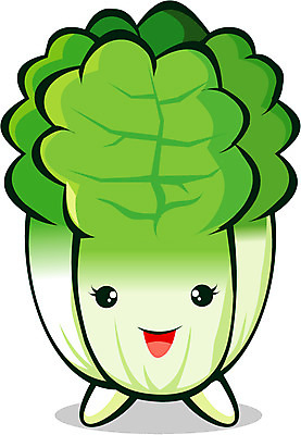 EPS 식물 캐릭터 채소 일러스트 식재료 사람없음 초록색 배추 음식캐릭터 채소캐릭터 배추캐릭터 일러캐릭터 음식 컬러 파일형식 벡터