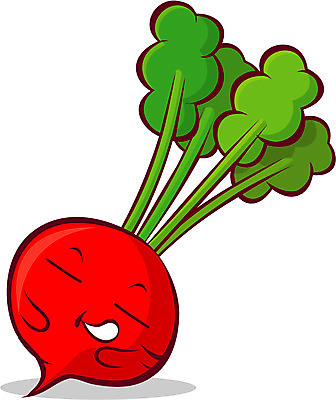 EPS 식물 캐릭터 채소 일러스트 식재료 사람없음 초록색 음식캐릭터 채소캐릭터 순무 순무캐릭터 적환무 일러캐릭터 음식 컬러 무 파일형식 벡터