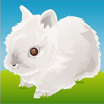 EPS 동물 척추동물 한마리 육지동물 일러스트 포유류 사람없음 반려동물 반려 아기토끼 국내일러스트 1 새끼 토끼 파일형식 벡터