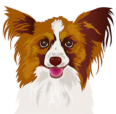 EPS 동물 척추동물 한마리 육지동물 반려견 일러스트 포유류 사람없음 반려동물 개 치와와 반려 파피용 국내일러스트 1 파일형식 벡터