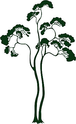 EPS 나무 식물 일러스트 사람없음 초록색 소나무 상록수 국내일러스트 컬러 파일형식 벡터