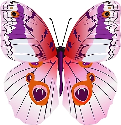 EPS 클립아트 동물 한마리 문양 나비 곤충 절지류 일러스트 사람없음 호랑나비 나비문양 국내일러스트 1 파일형식 벡터