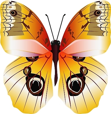 EPS 클립아트 동물 한마리 문양 나비 곤충 절지류 일러스트 사람없음 호랑나비 나비문양 국내일러스트 1 파일형식 벡터