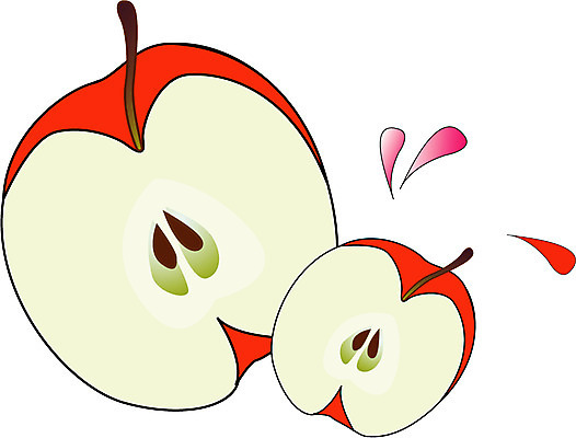 EPS 식물 과일 일러스트 사람없음 농작물 사과 사과데이 애플데이 국내일러스트 농업 데이이벤트 파일형식 벡터