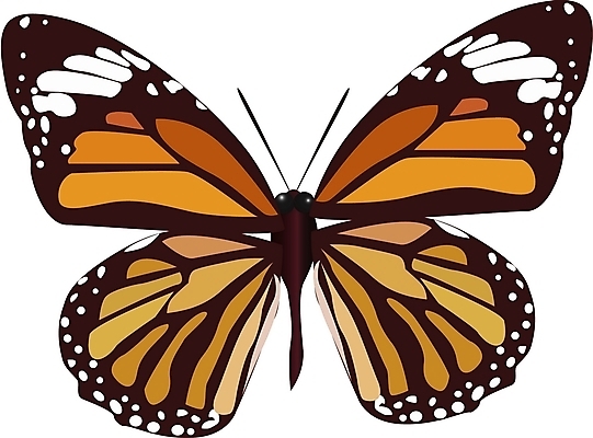 EPS 클립아트 동물 한마리 나비 곤충 절지류 일러스트 사람없음 봄 호랑나비 나비문양 국내일러스트 1 문양 계절 파일형식 벡터