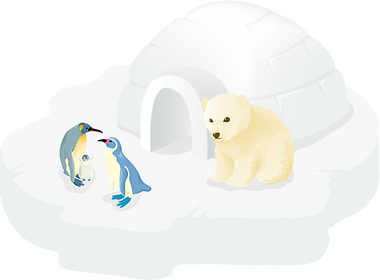 EPS 클립아트 동물 척추동물 육지동물 야생동물 외국문화 일러스트 곰 포유류 사람없음 남극 극지방 북극 펭귄 북극곰 백곰 이글루 황제펭귄 국내일러스트 문화 조류 지역 파일형식 벡터