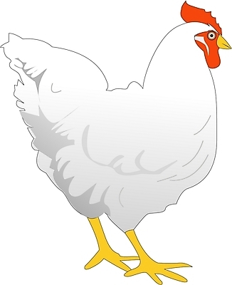 EPS 클립아트 동물 척추동물 한마리 일러스트 조류 사람없음 가축 닭 수컷 수탉 국내일러스트 1 파일형식 벡터